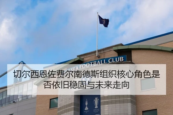 切尔西恩佐费尔南德斯组织核心角色是否依旧稳固与未来走向